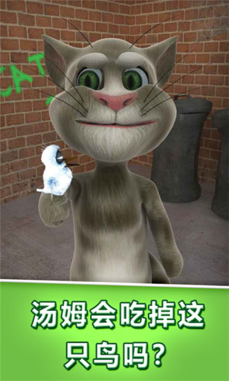 会说话的汤姆猫破解版v3.8.0.456 安卓版