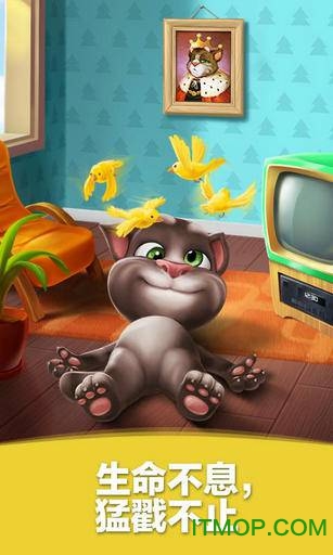 我的汤姆猫喂养版2022v7.1.5.384安卓版