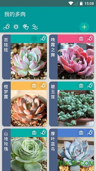 多肉成长记v4.9.3安卓最新版