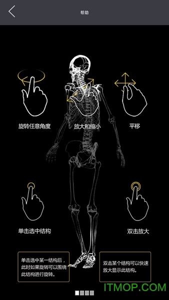 3d人体解剖学客户端