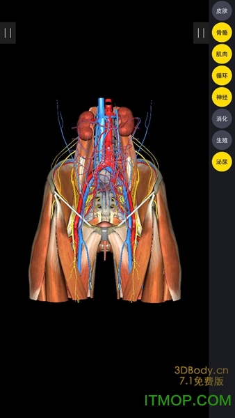 3Dbody解剖中文版v8.8.20安卓版