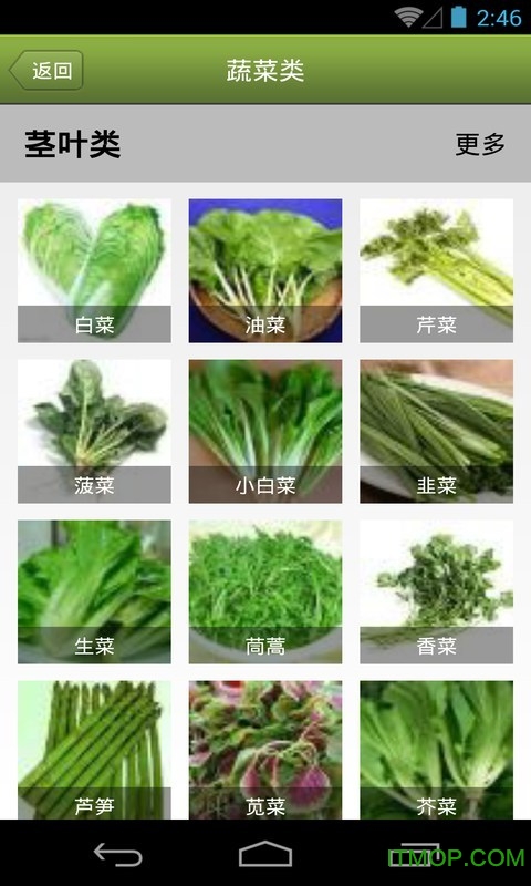 菜怎么做app