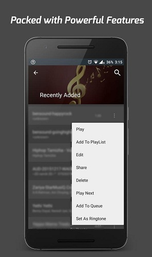 Pi Music Player最新版