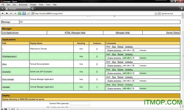 Java服务器软件(Apache Tomcat)v7.0.40 免费英文版