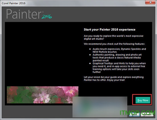 corelpainter2016破解版.itmop.com