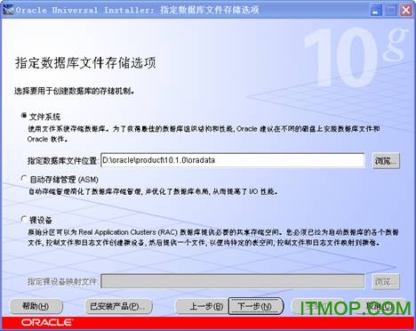 oracle10g