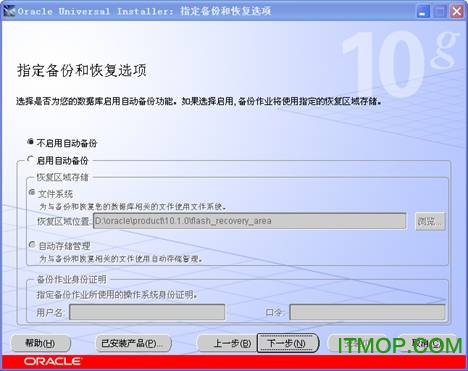 oracle10g 64位