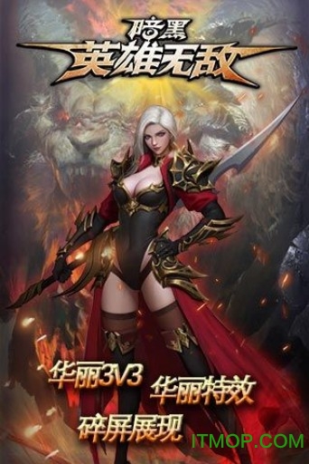 暗黑英雄无敌内购破解版v1.1 安卓版
