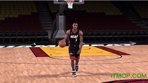 NBA2K18巅峰韦德面补v1.0 绿色版