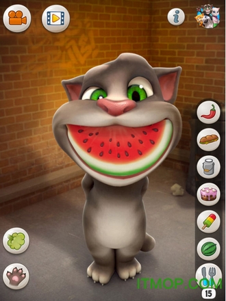 会说话的汤姆猫免费版