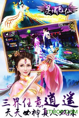 灵域飞仙九游版