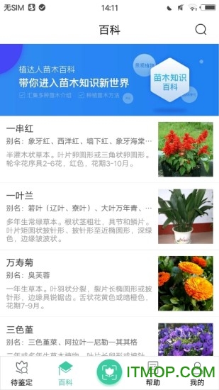 植物达人