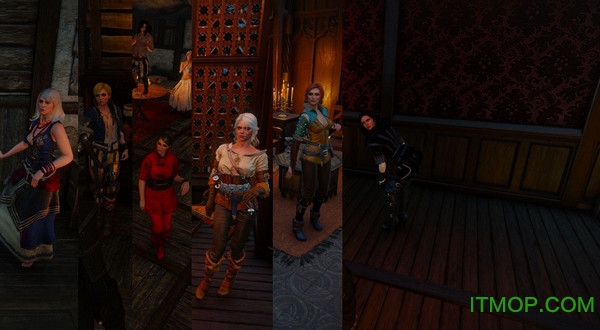 巫师3终极狂魔绅士MODv1.3 绿色版