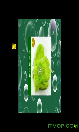 KT猫学颜色v6.5 安卓版