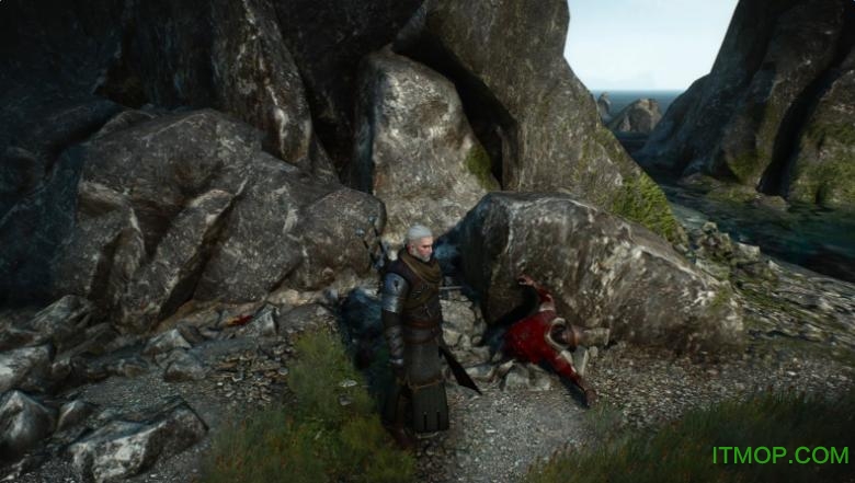 巫师3狂猎百分百肢解mod