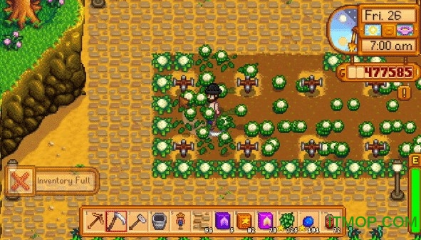 星露谷物语镰刀收割果实MODv1.06 最新版