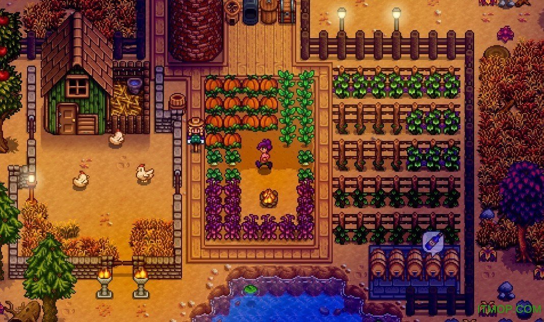 星露谷物语新神秘森林MOD