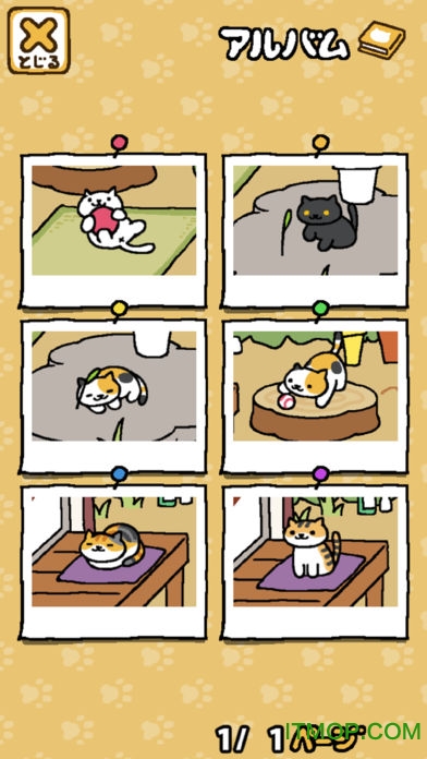 猫咪后院中文版ios版v1.14.11 苹果iphone版