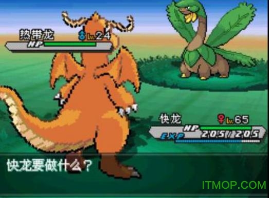 口袋妖怪光之魄中文版