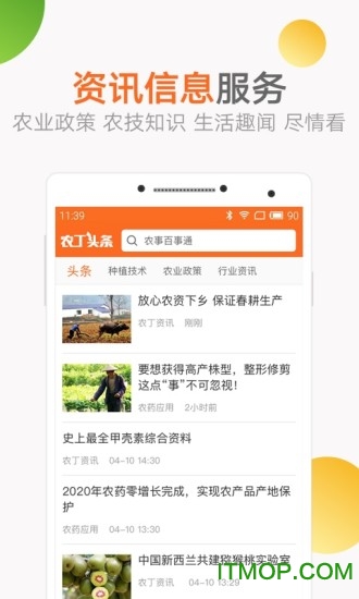 农丁掌柜