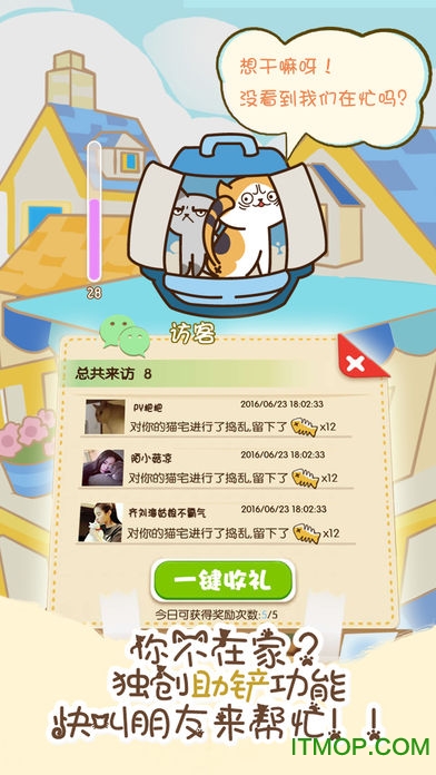 猫咪挂机