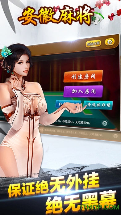 乐乐安徽麻将