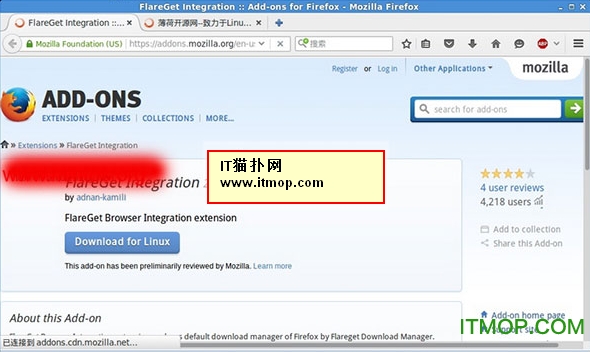 flareget 汉化