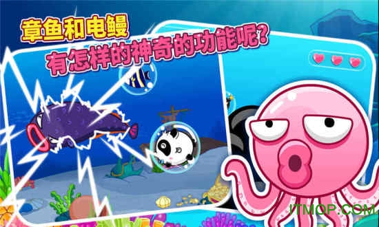 梦幻泡泡鱼