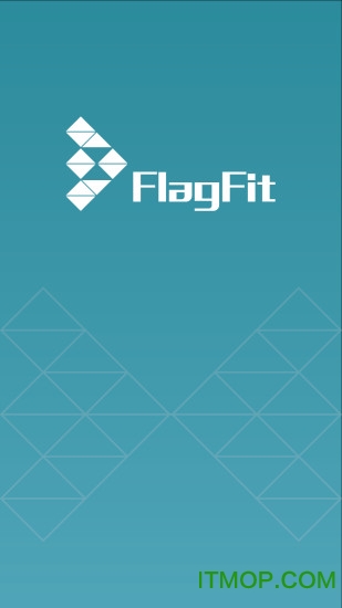 FlagFit手环