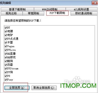 p2p终结者