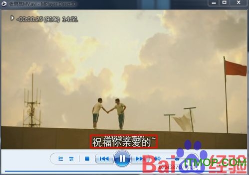 怎样为视频加字幕