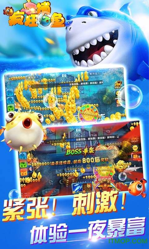 鱼丸疯狂捕鱼手游九游版v9.0.23.4.0 安卓版