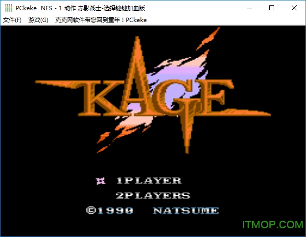 无敌NES游戏打包+NES模拟器免费版