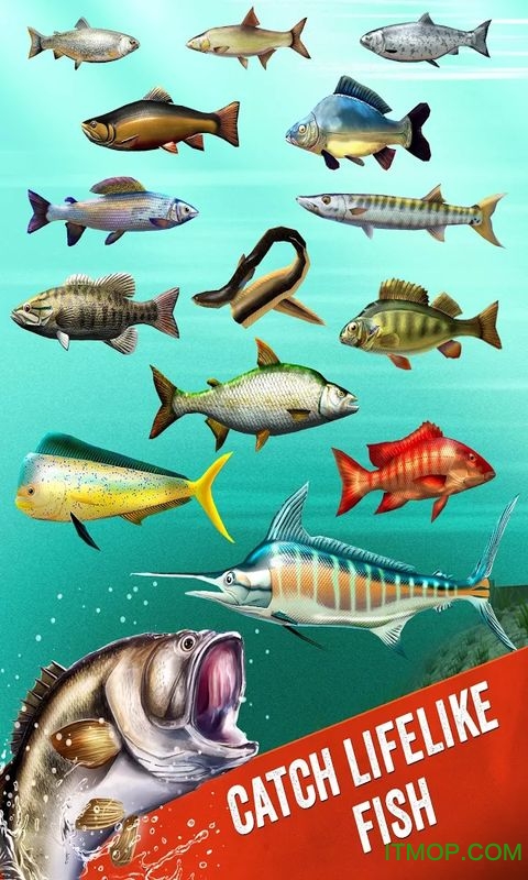 钓鱼俱乐部3D中文汉化版(The Fishing Club 3D)v2.62 安卓版