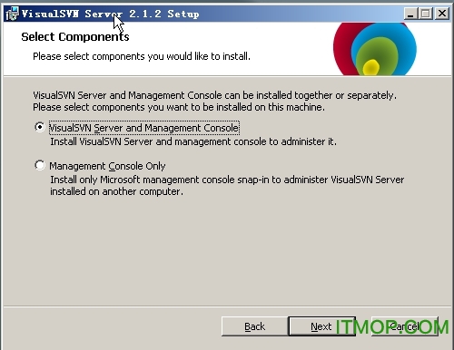 visualsvn server