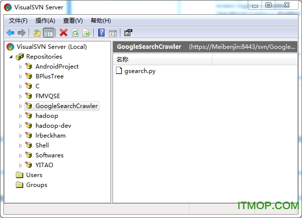 visualsvn server