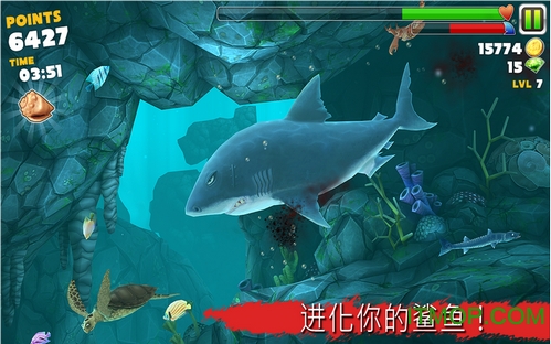 食人鲨进化版无限金币钻石(Hungry Shark Evolution)v9.0.0 中文汉化安卓版