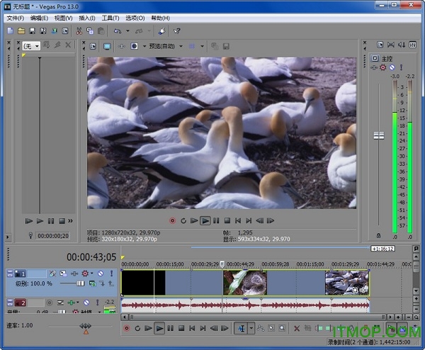 Sony Vegas