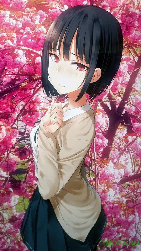 傲娇小姑娘中文破解版v1.31.9 安卓完全汉化版