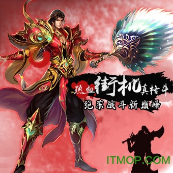 真三国快打小米版