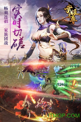 武道至尊H5送vip无限元宝公益服v1.0 安卓版