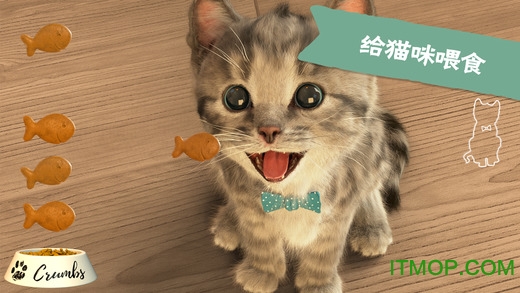 little kitten安卓游戏下载