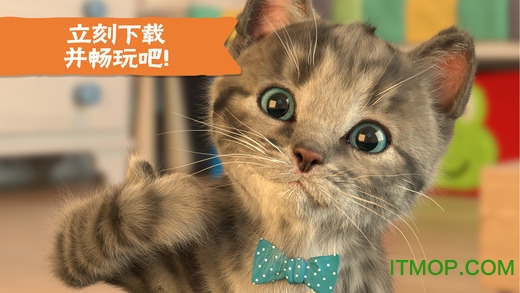 little kitten安卓游戏下载