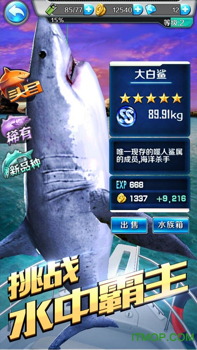 钓鱼梦想之旅最新版本v1.6 安卓版