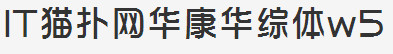 华康华综体w5