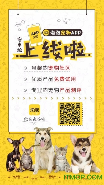 泡泡宠物社区v1.0 安卓版
