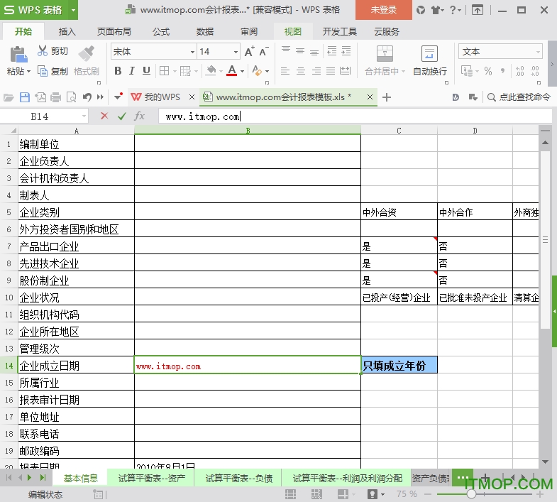 会计明细表报表模板excel模板
