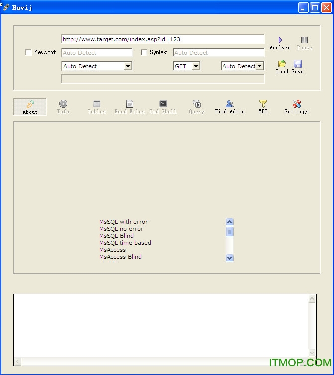 havij 1.19 pro破解版