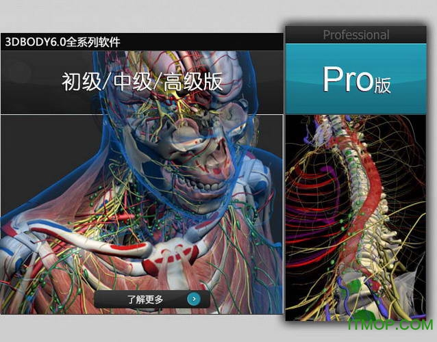 3dbody解剖软件下载