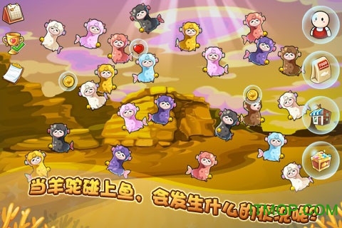 开心水族箱华为版v9.6.15 安卓版